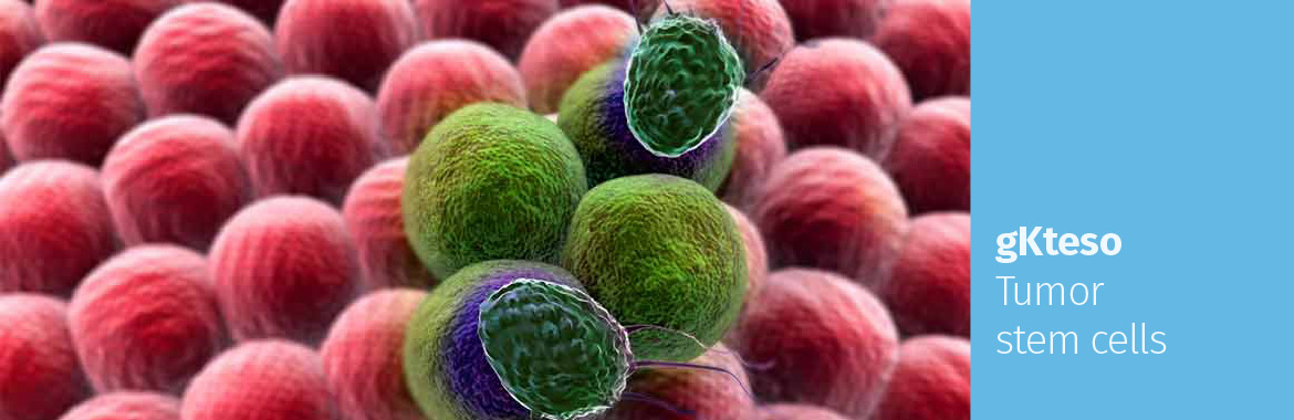 Tumor stem cells